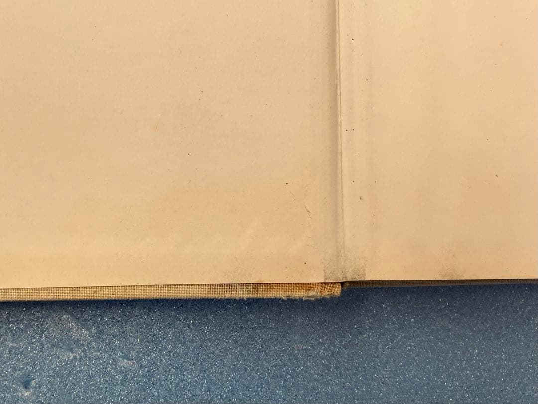 超貴重絶版本！ラフシモンズ10周年記念写真集/REDUX(価格相談)