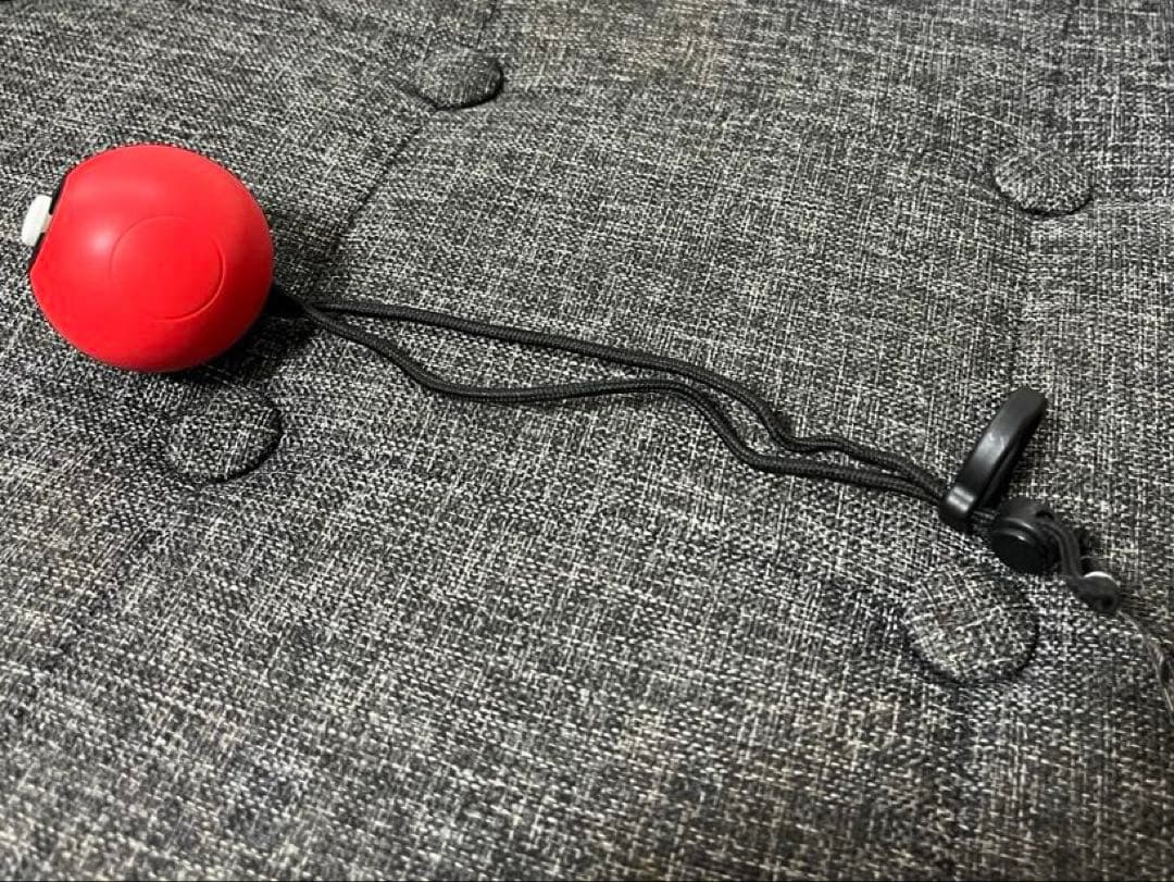 貴重Switch ポケモン　Let's Go! ピカチュウ + モンスターボール