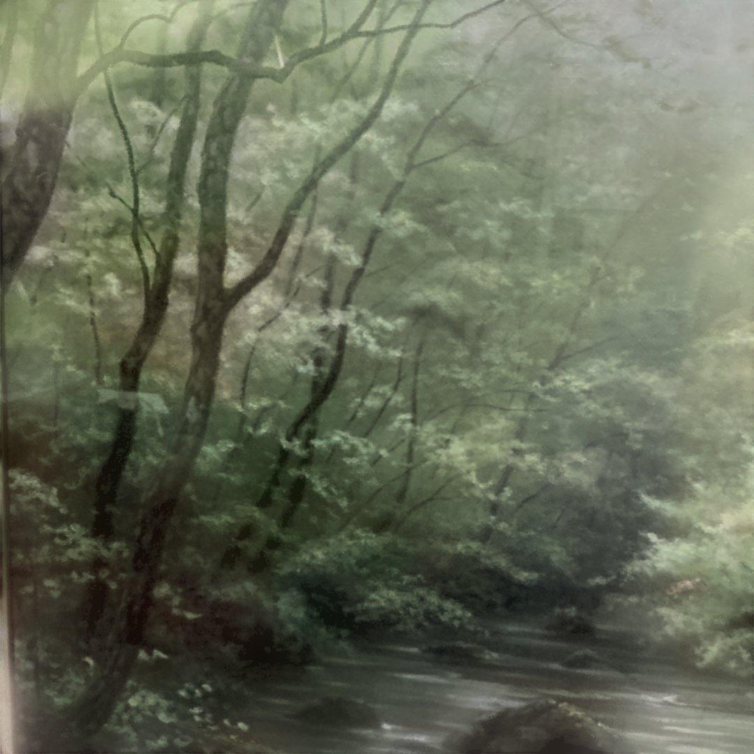 秀ちゃんさん専用　向山一石　（もいやまいつせき）　春光に憩う　「奥入瀬」　F6