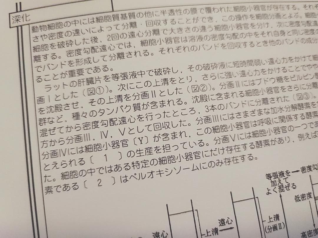 駿台の最新の朝霞先生の生物特別講義実験問題への分析と改善フルセット　鉄緑会河合塾