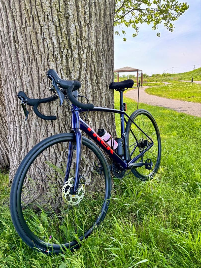 t*o様 トレック　エモンダ　サイズ54