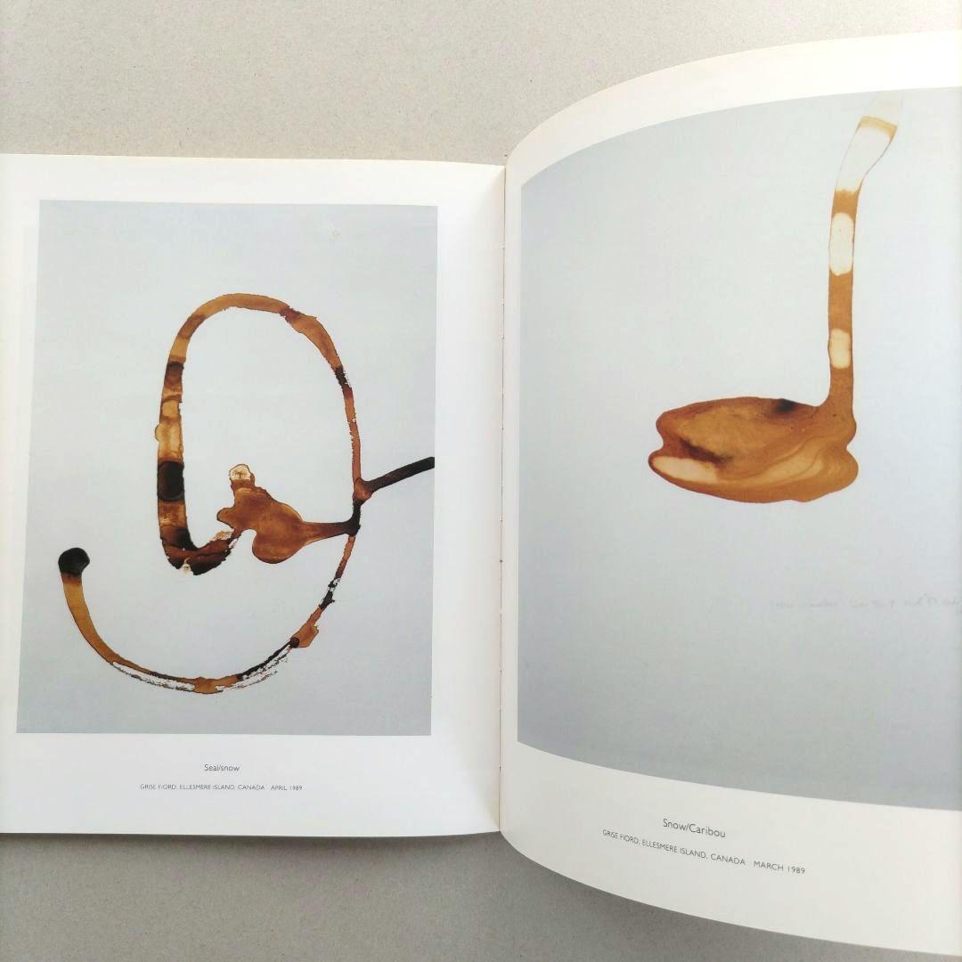 HAND TO EARTH:Andy Goldsworthy/作品集 写真 初版