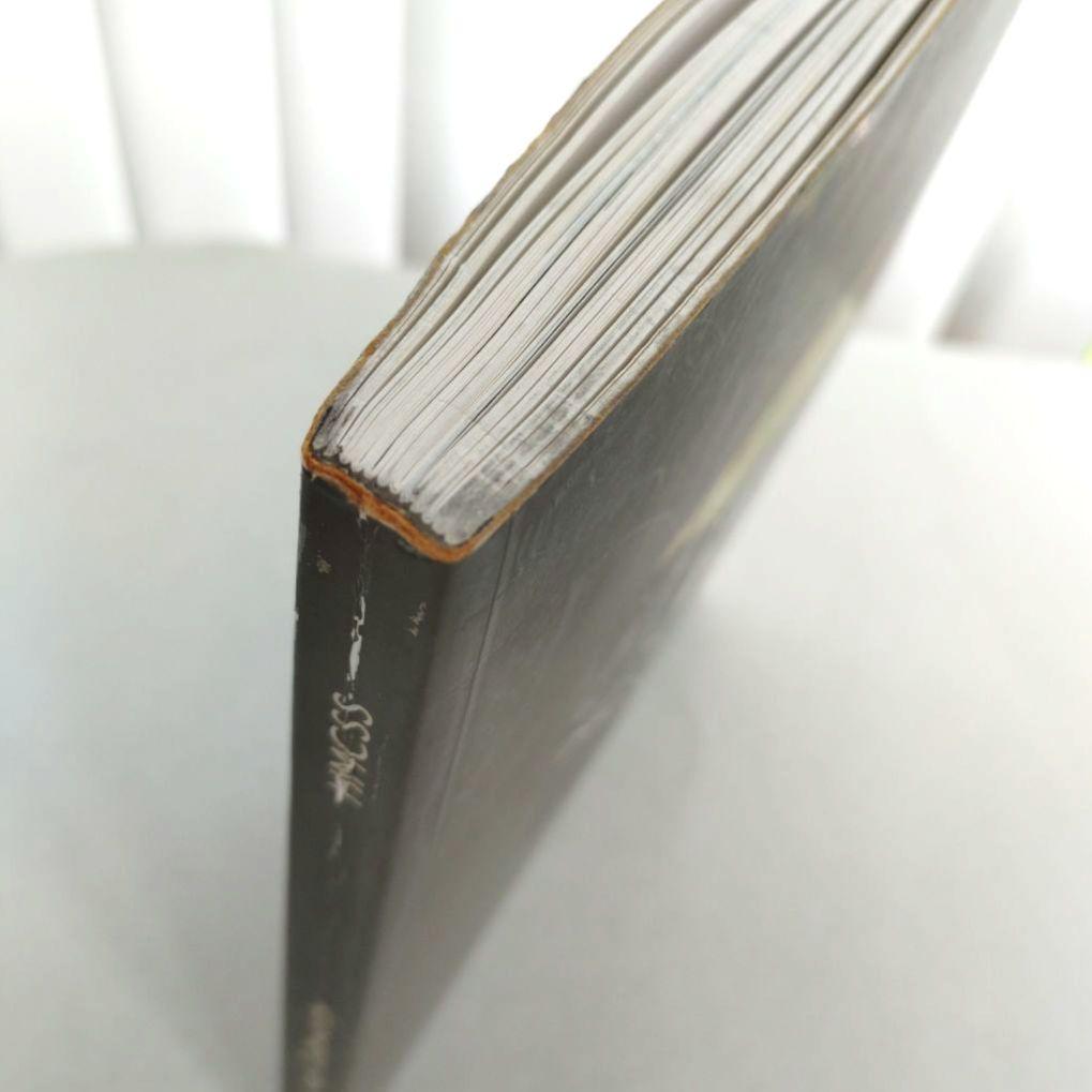 HAND TO EARTH:Andy Goldsworthy/作品集 写真 初版