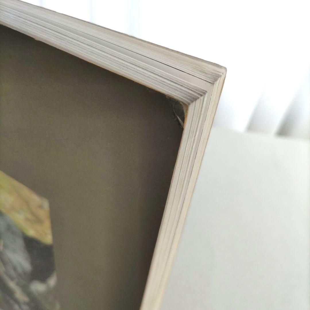 HAND TO EARTH:Andy Goldsworthy/作品集 写真 初版