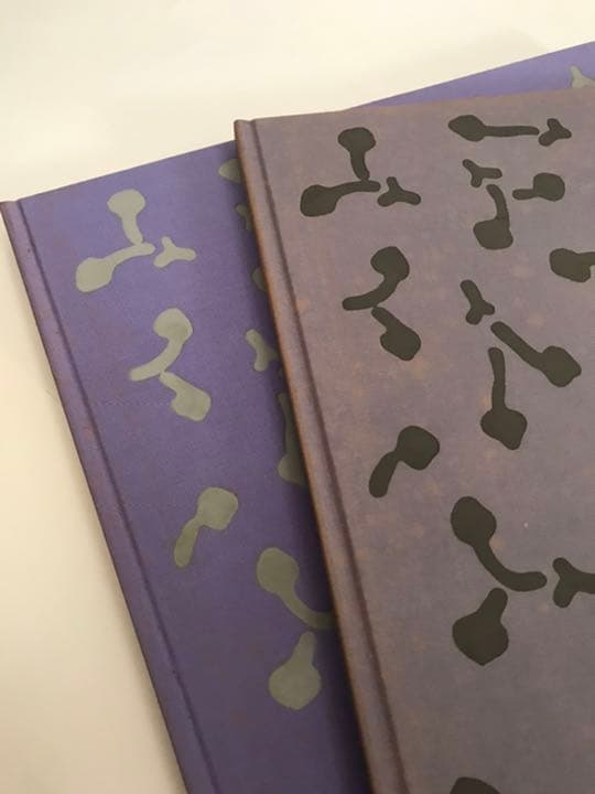 朝倉響子彫塑集　写真集　光と波と　奈良原一高　2冊組