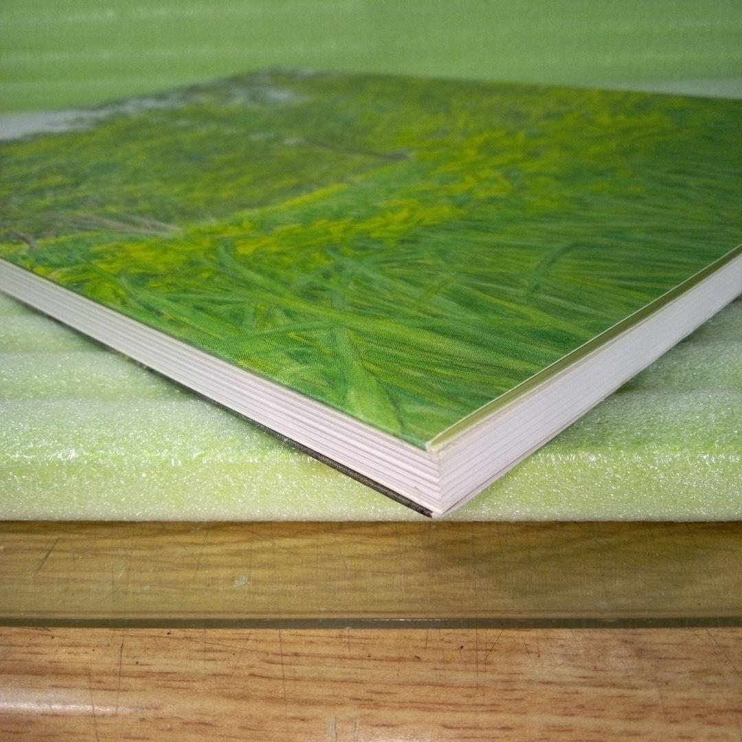 北海道の水彩画　みづゑを愛した画家たち