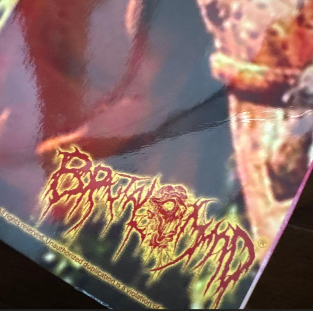 viscera infest 1st LP brutal mindレア