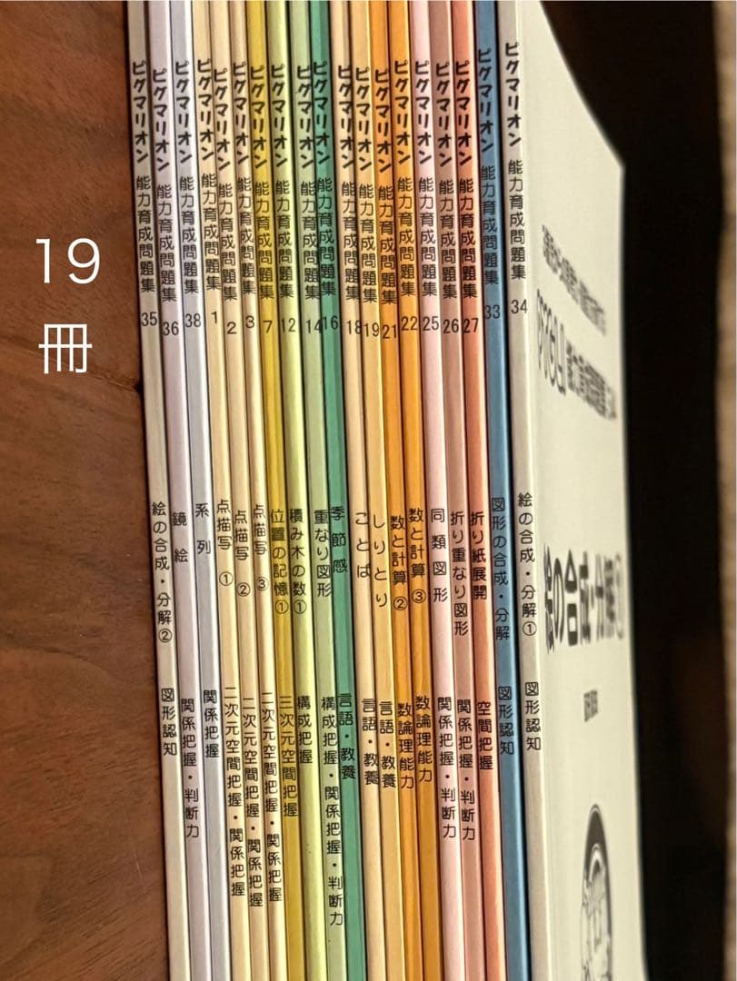 ピグマリオン PYGLI 能力育成問題集 19冊セット