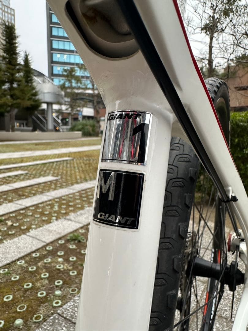 Giant Anyroad 2 2015モデル　シクロクロス　グラベルロード