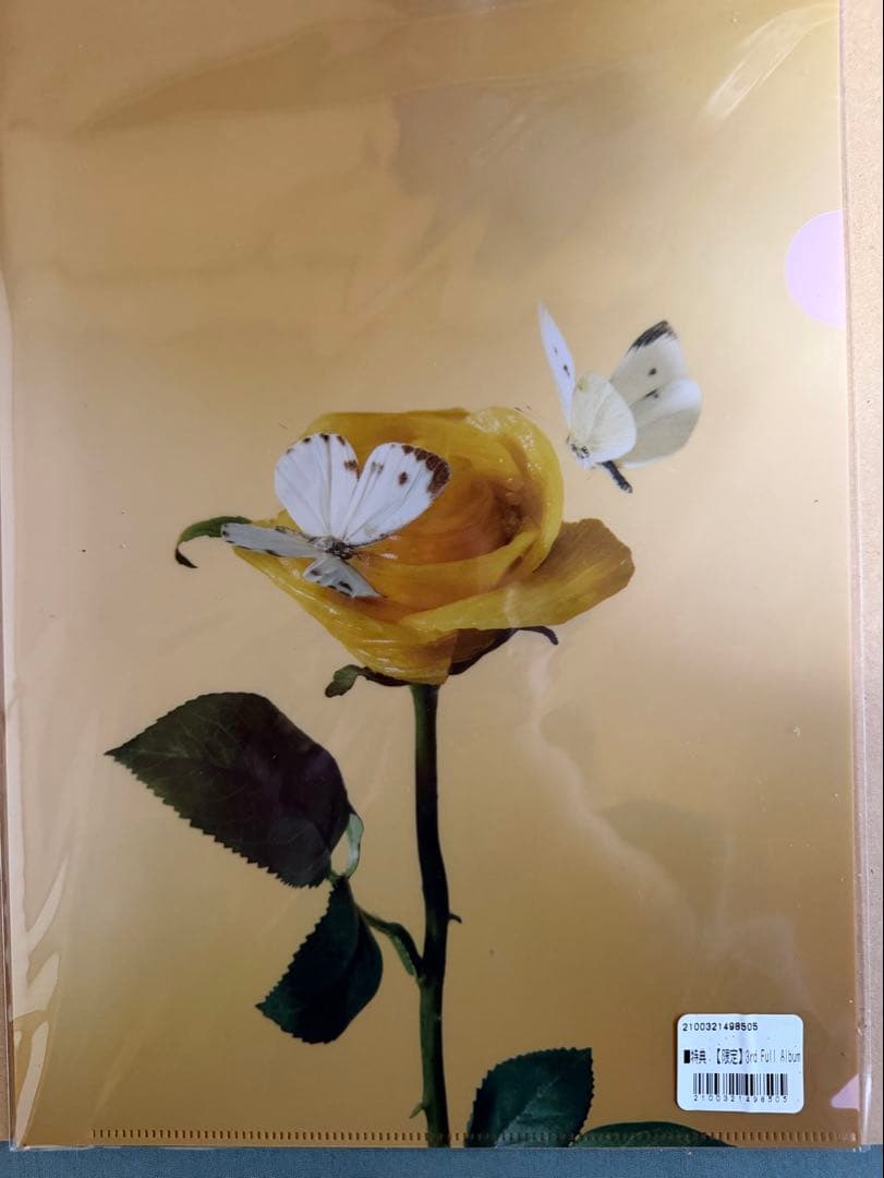 あいみょん アルバム　ポスター　クリアファイル