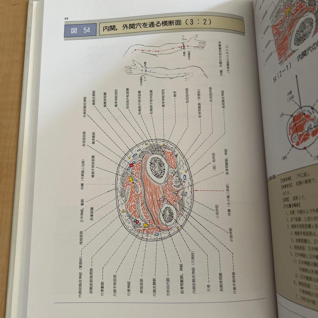 経穴断面解剖図解 上肢編