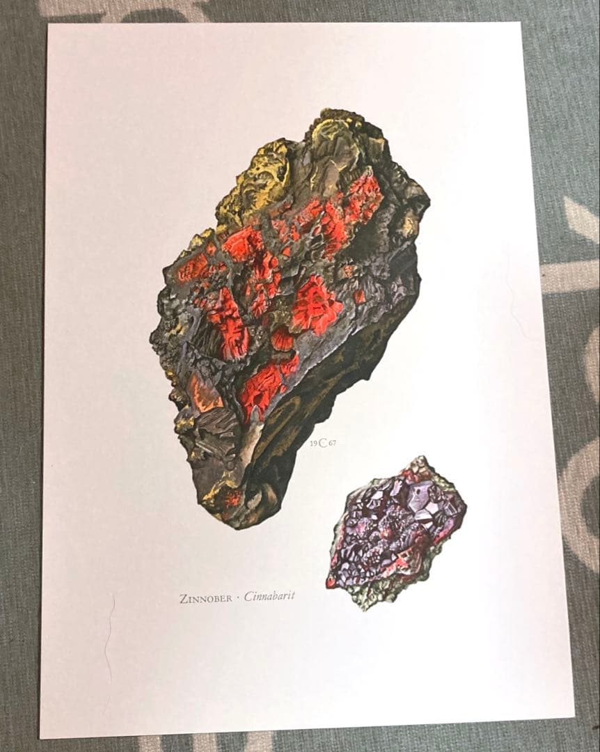 鉱物博物図鑑　1958年（ドイツ）図版ボタニカルアート160枚