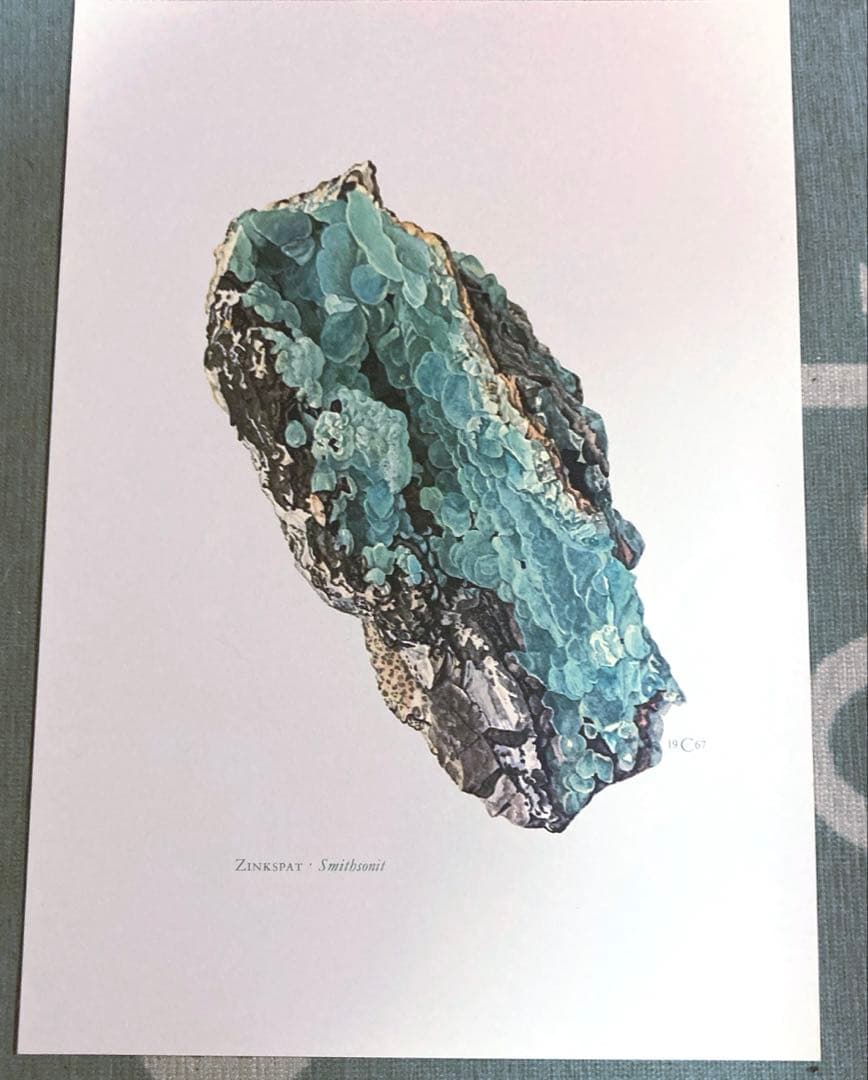 鉱物博物図鑑　1958年（ドイツ）図版ボタニカルアート160枚