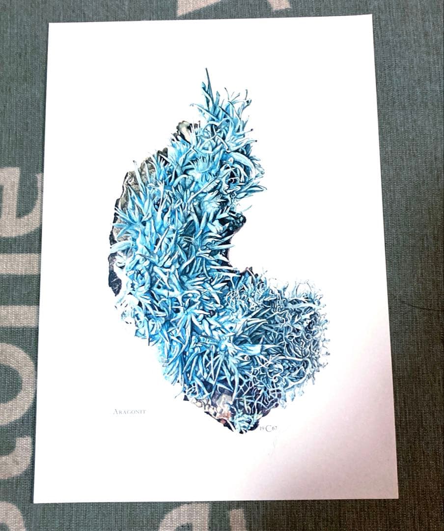 鉱物博物図鑑　1958年（ドイツ）図版ボタニカルアート160枚