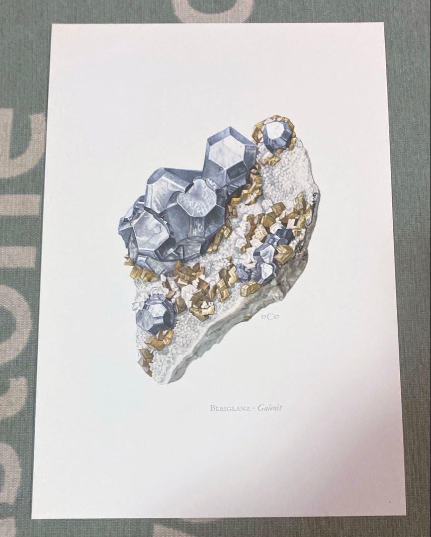 鉱物博物図鑑　1958年（ドイツ）図版ボタニカルアート160枚