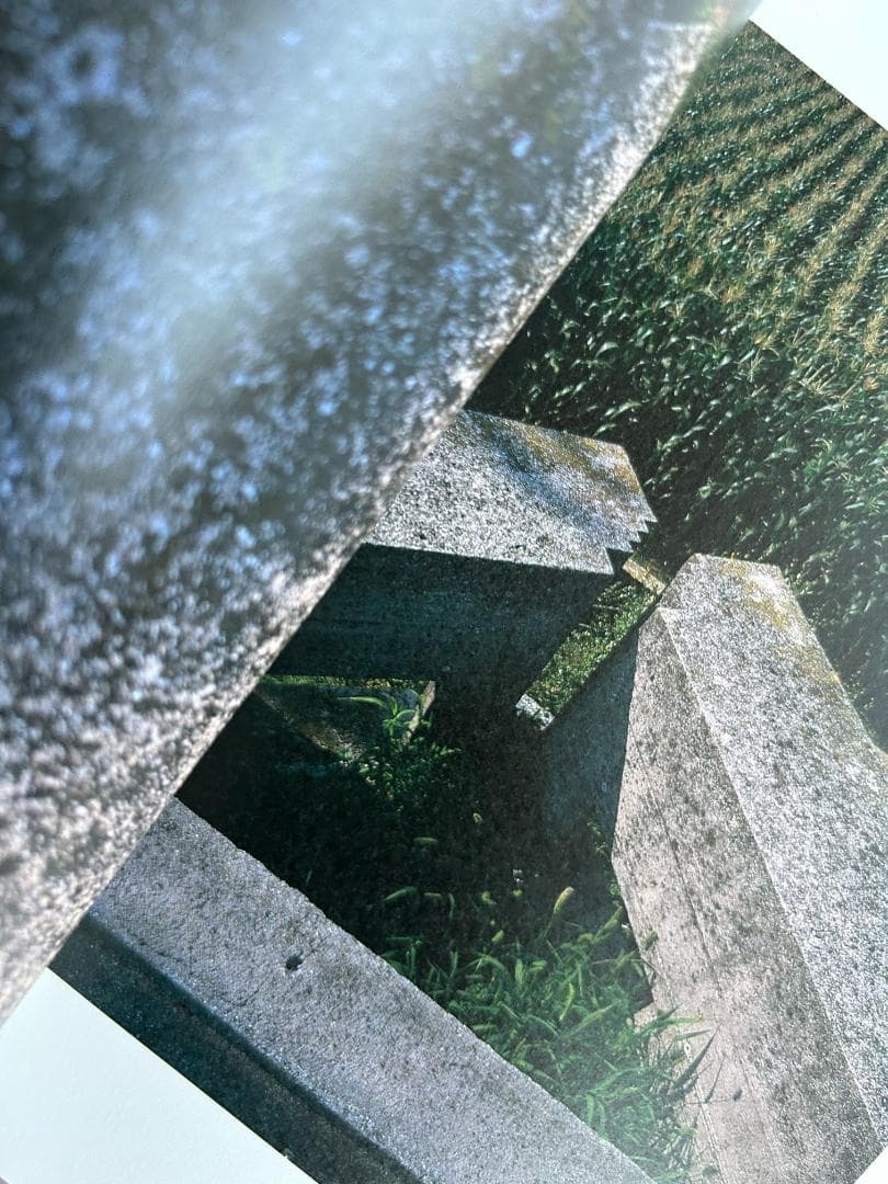 建築の詩人 カルロ・スカルパ knoll トビア アフラ gae aulenti