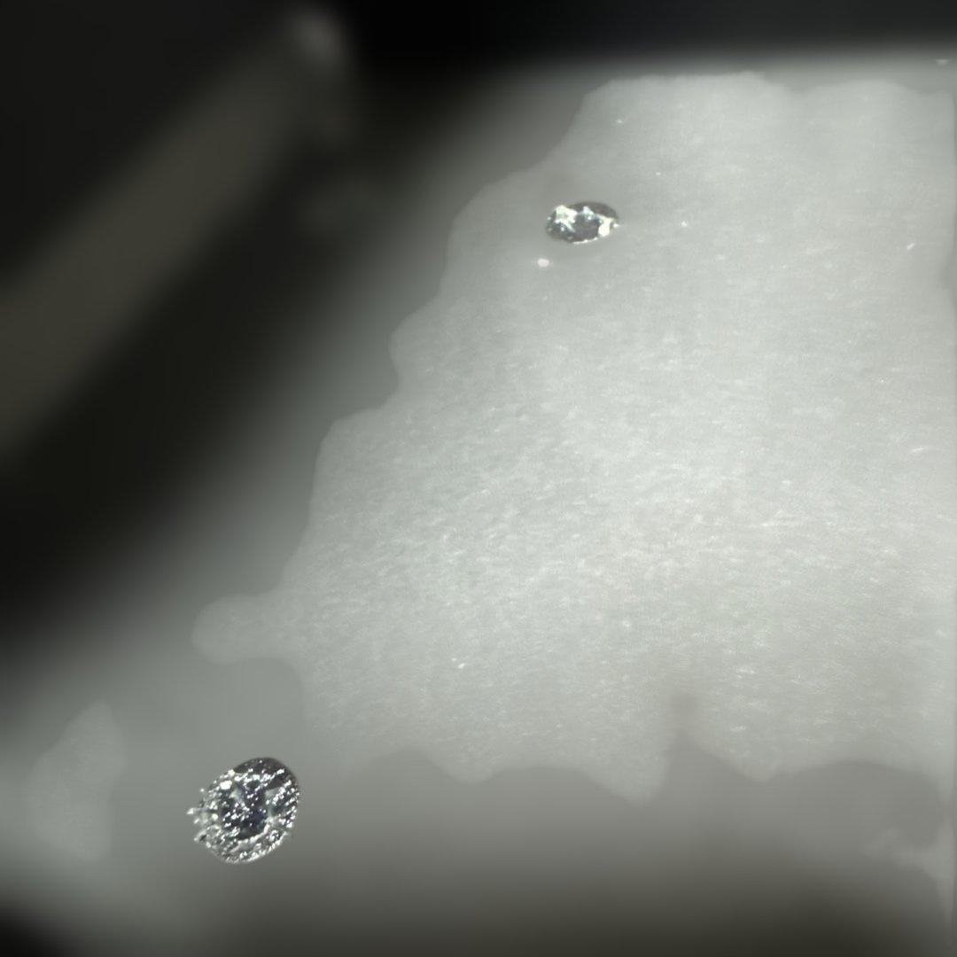 希少盤Paradise Lost/Tragic Idol豪華限定BOX/2CD