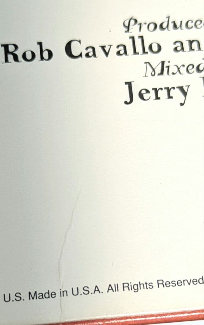 GREEN DAY Insomniac LP 1995オリジナル グリーンデイ