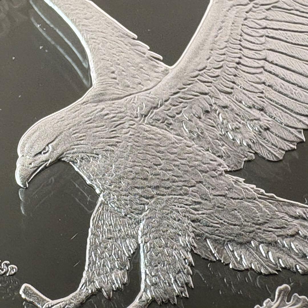 2022 アメリカ シルバーイーグル 1ドル 銀貨 NGC PF70 UC