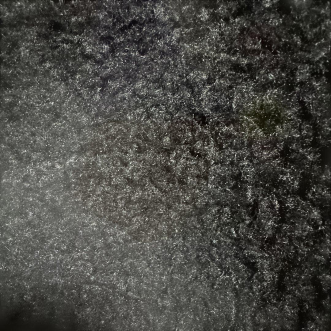 SLOBE ブラック フリース ベスト