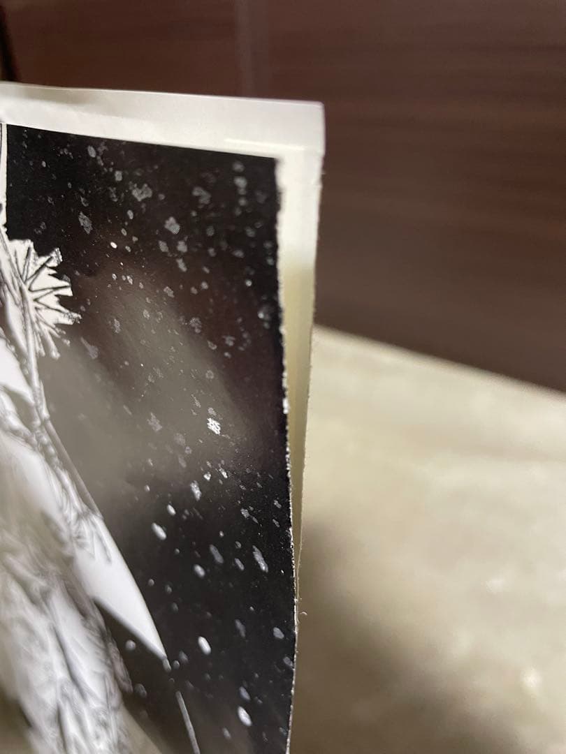 【美品レア・US正規】GENIUS/GZA LIQUID SWORDSレコード