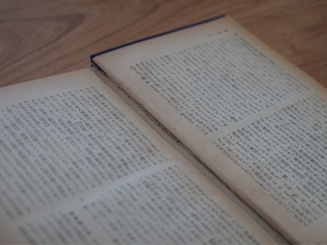 国語教育辞典 東京堂出版