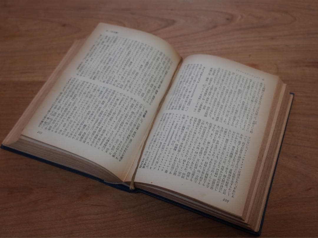 国語教育辞典 東京堂出版