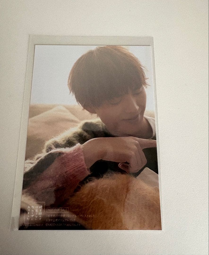 「修学旅行で仲良くないグループに入りました」ドラマ公式ビジュアルファンブック