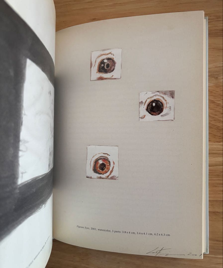 The Arena Luc Tuymans リュック・タイマンス 作品集