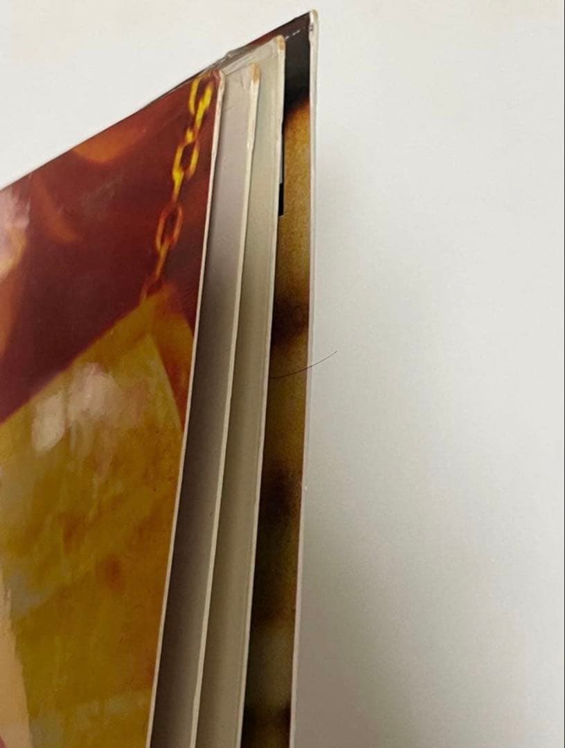 Raekwon 1st Lp & 12inc USオリジナル未開封盤 4枚セット