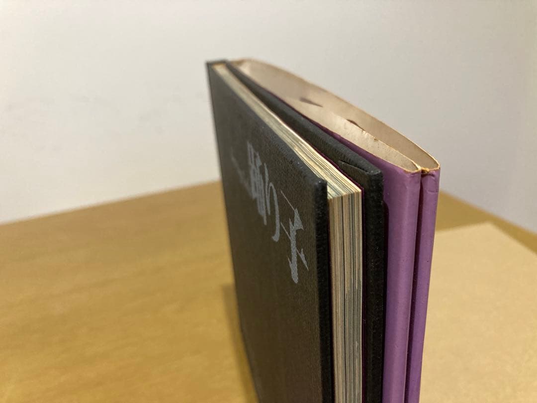 【中古】稲村隆正 踊り子 初版 写真集