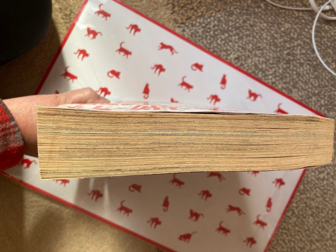 プチコミック 1996年3月号 結婚物語特集　さとうちほ花音掲載