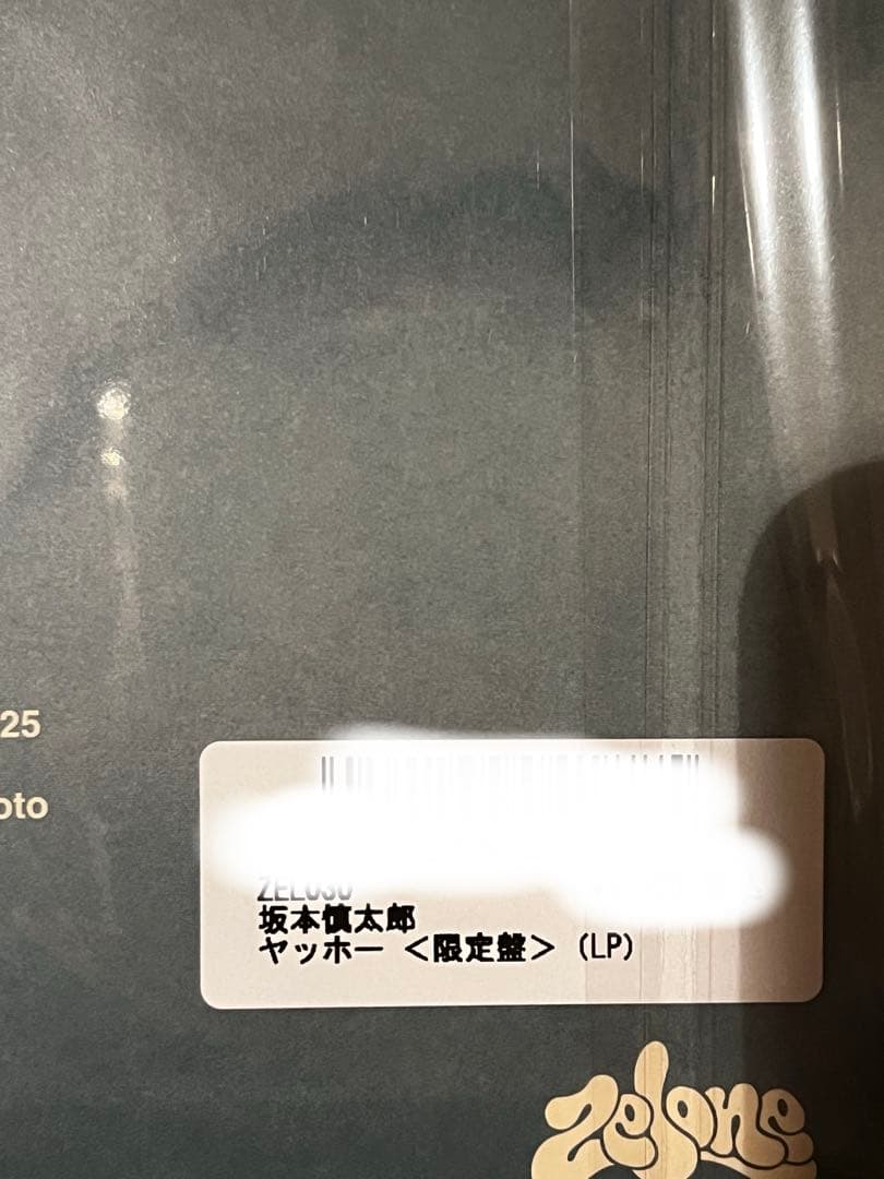 【即日発送・未開封】坂本慎太郎ヤッホー＜限定盤＞アナログレコード