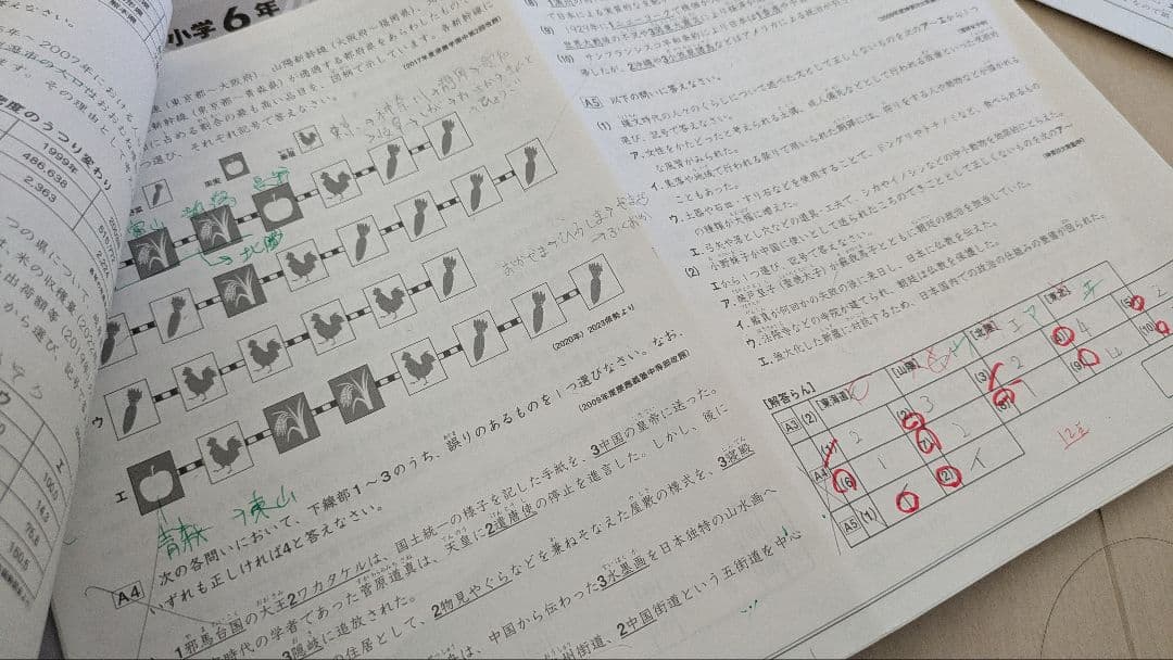 SS特訓志望校別講座 社会一式　サピックス SAPIX 小6