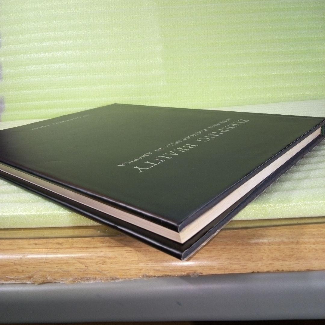 洋書 Sleeping Beauty : Memorial Photography