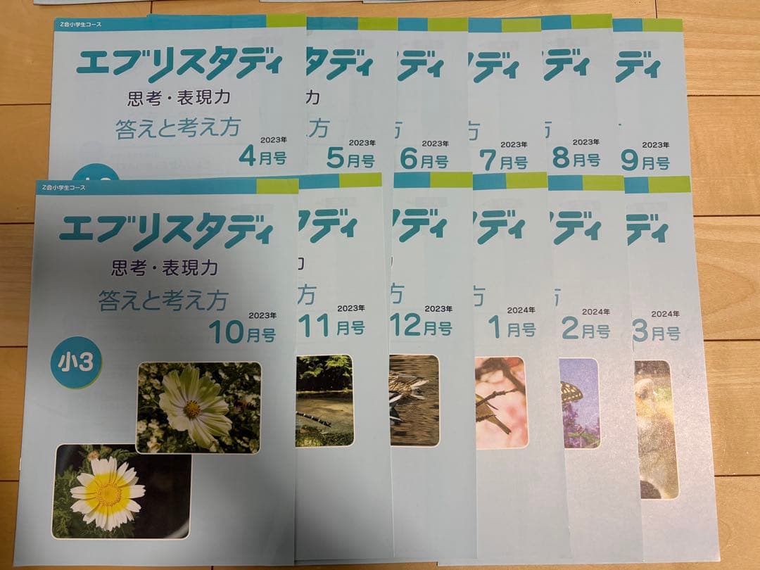 エブリスタディ　小3 思考・表現力 1年分　2023年度　Z会　/中学受験