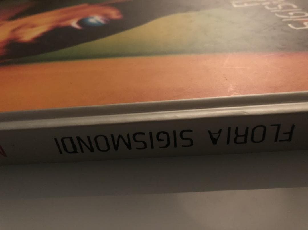 FLORIA SIGISMONDI / REDEMPTION シジスモンディ洋書