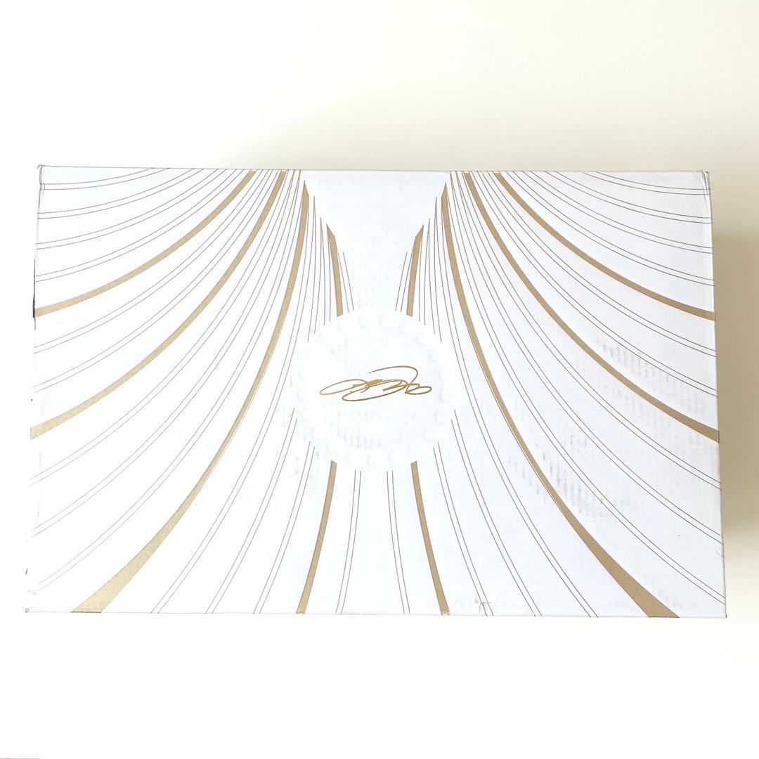 【新品 未使用】NIKE レブロン 21 EP Tahitian 26cm