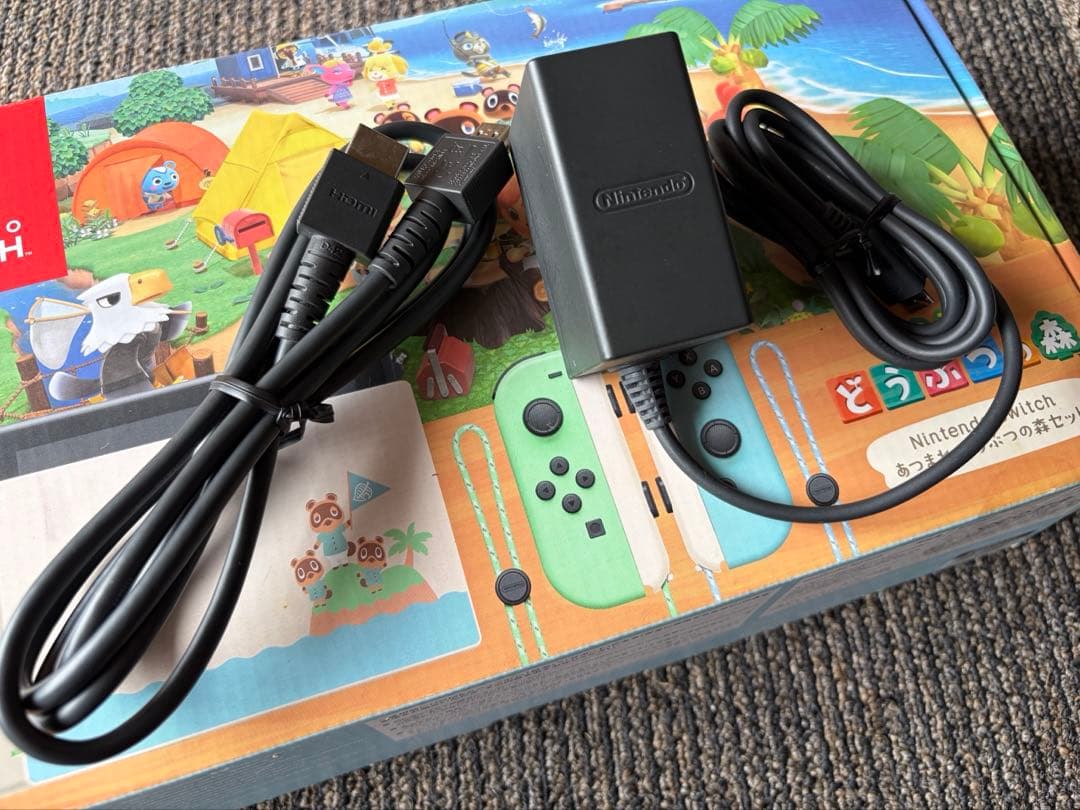 任天堂スイッチ Switch本体 あつまれどうぶつの森セット 専用ケース付き