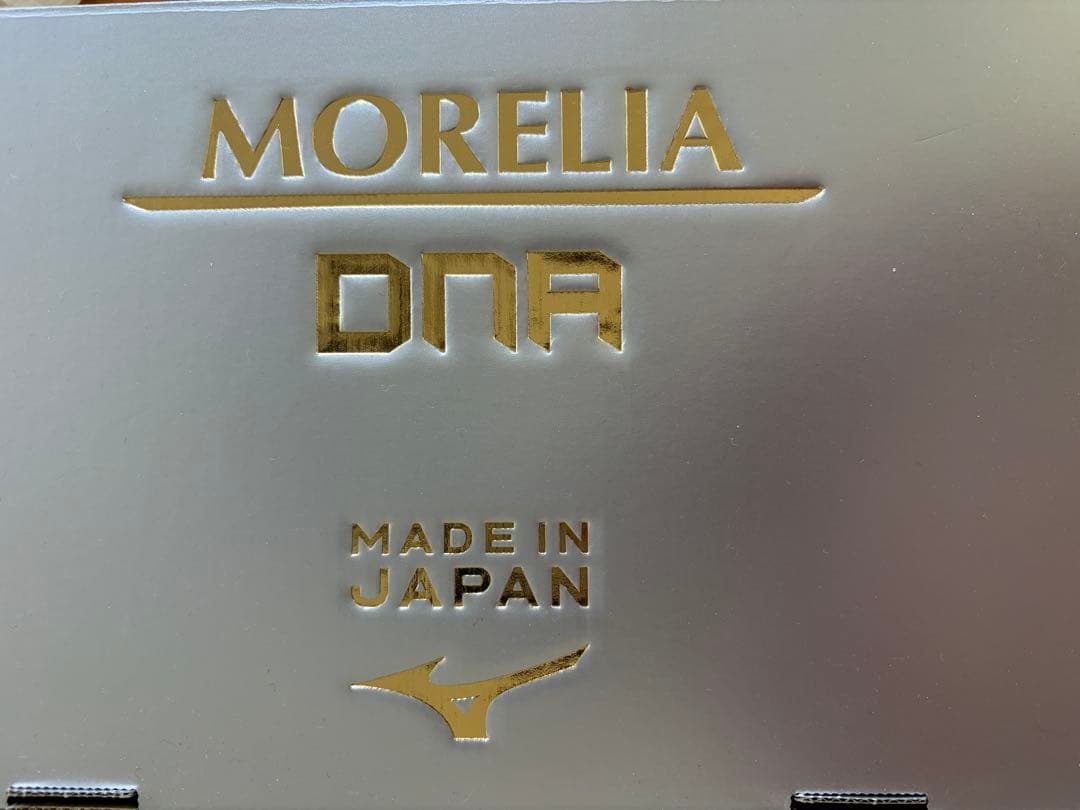 【値下げ可】モレリア DNA