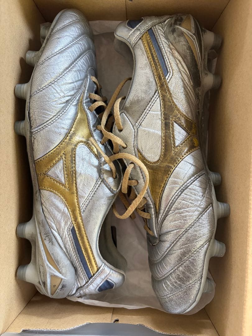 【値下げ可】モレリア DNA