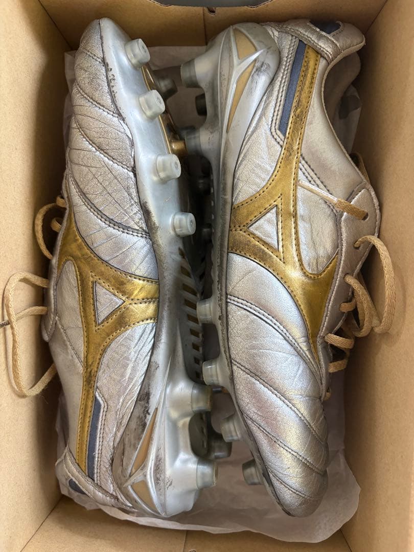 【値下げ可】モレリア DNA