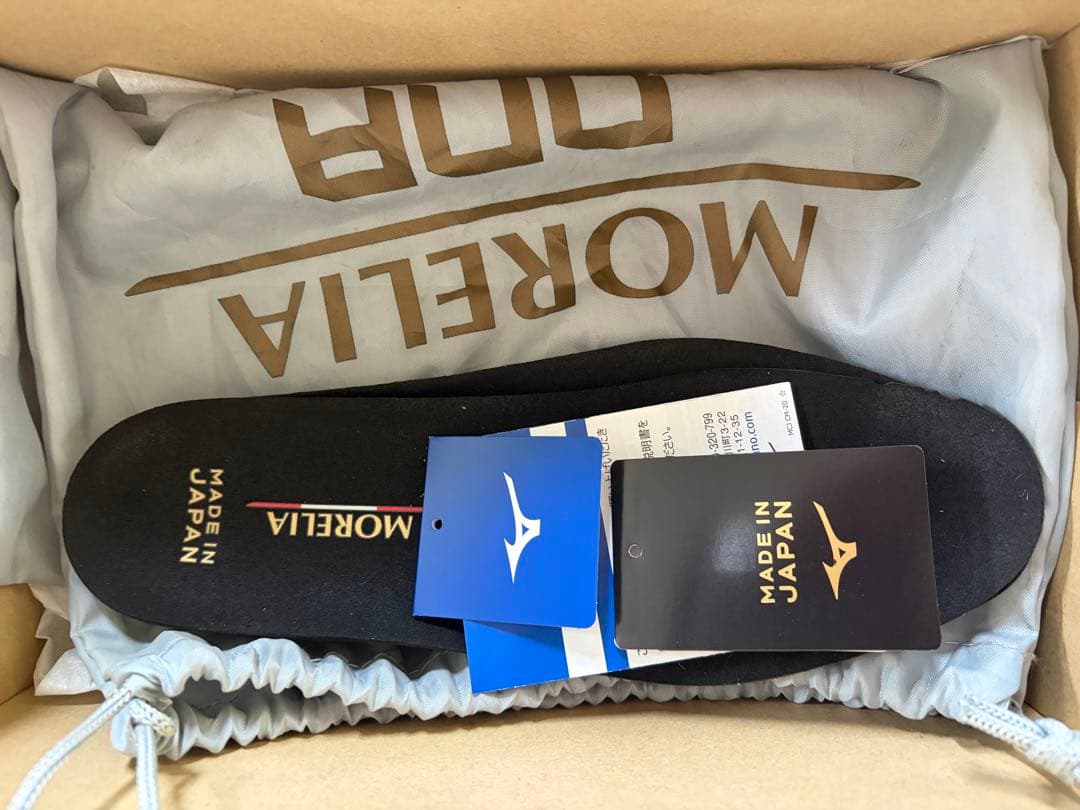 【値下げ可】モレリア DNA