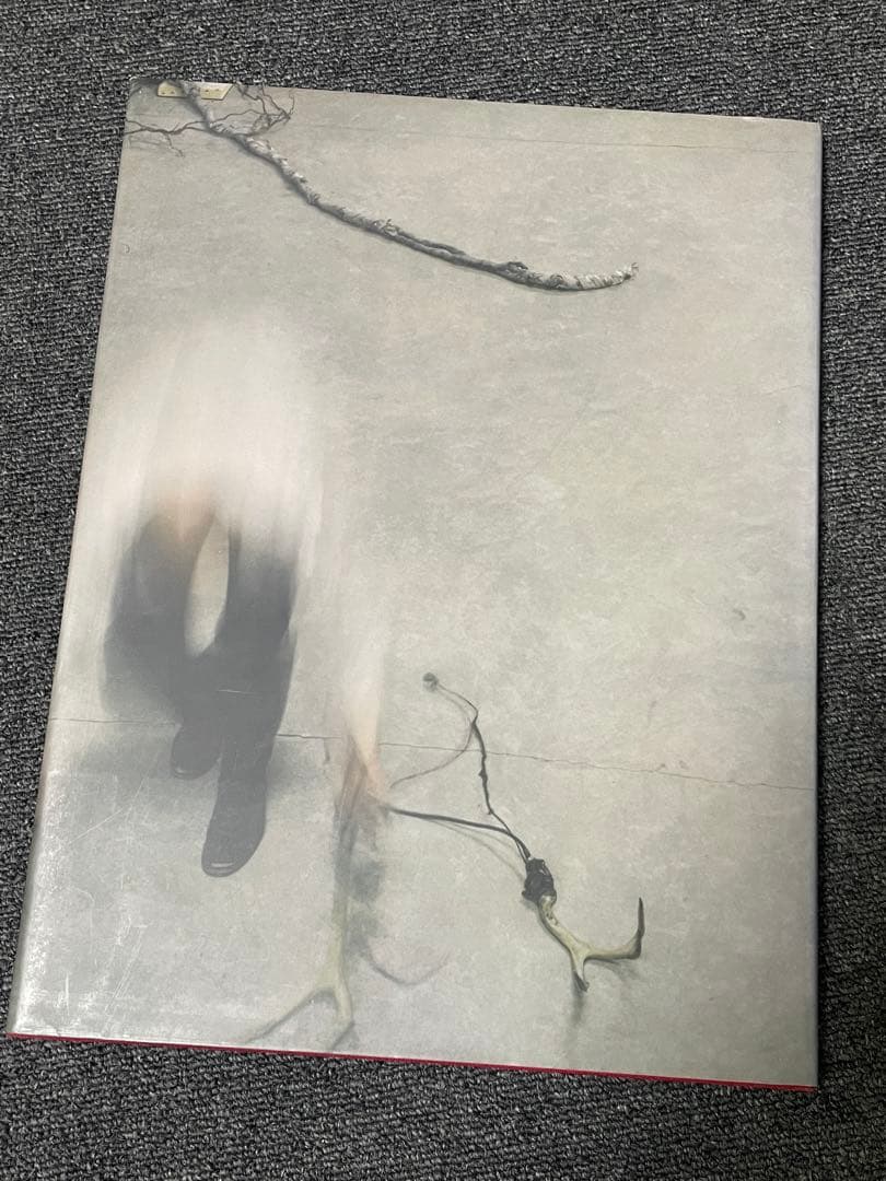 アート・デザイン・音楽 Counterpoint ParkeHarrison Twin Palms