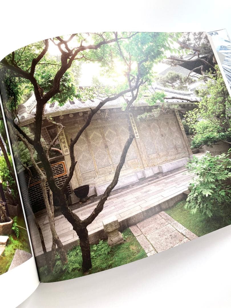 Do Ho Suh 「Drawings」韓国現代アート　彫刻　インスタレーション