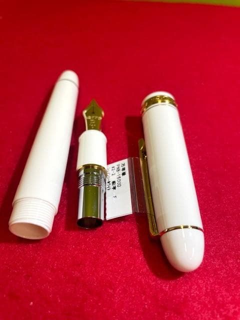 未使用品 プラチナ万年筆 センチュリー 3776 シュノンソーホワイトF 即送