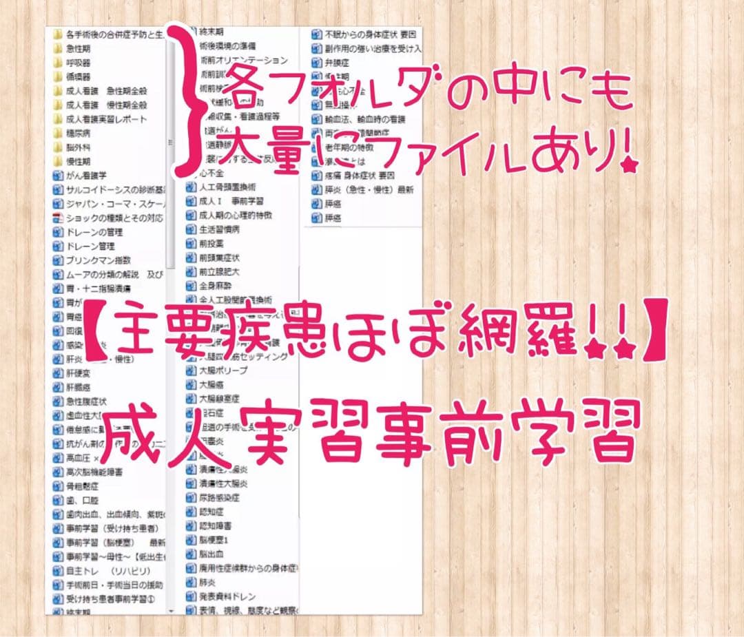看護実習 手順書 看護過程 看護計画 アセスメント レポート 資料 国家試験