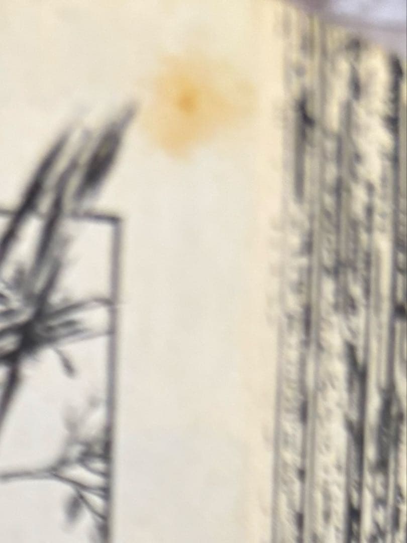 からくりサーカス 文庫版 セット 抜けあり