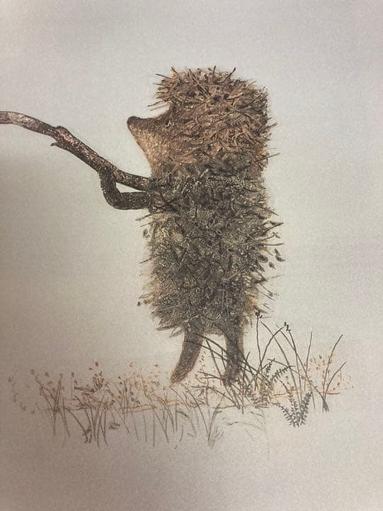 ユーリー・ノルシュテインの仕事