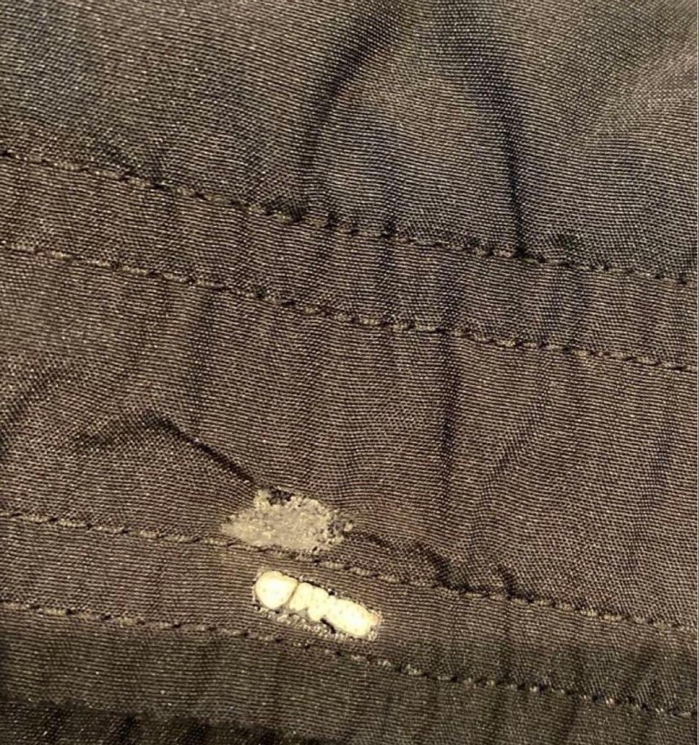 adidas チェルシー セットアップ／ナイロン 上下 アディダス 別注